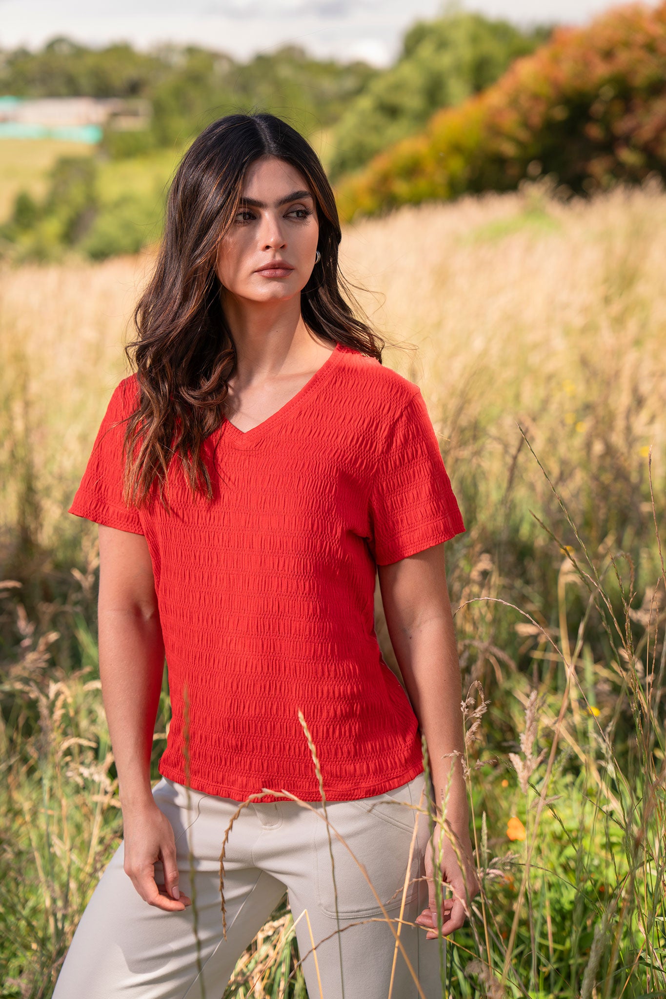 Camiseta manga corta